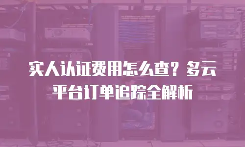实人认证费用怎么查？多云平台订单追踪全解析