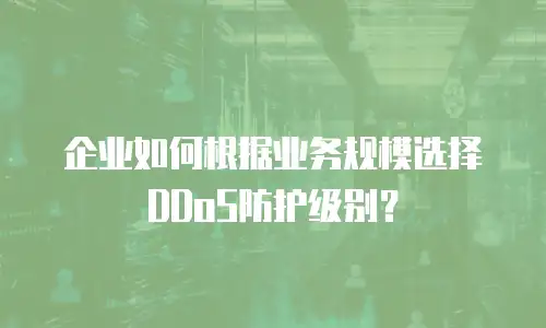 企业如何根据业务规模选择DDoS防护级别？