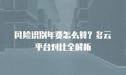 风险识别年费怎么算？多云平台对比全解析