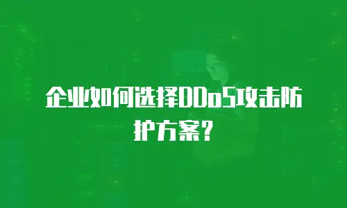 企业如何选择DDoS攻击防护方案？