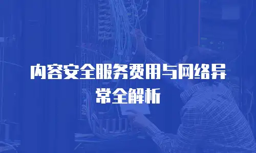 内容安全服务费用与网络异常全解析