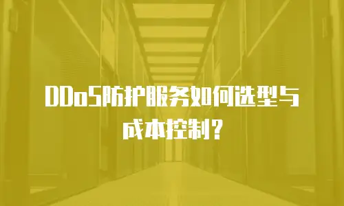 DDoS防护服务如何选型与成本控制？