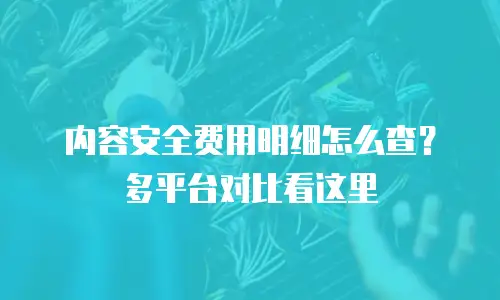 内容安全费用明细怎么查？多平台对比看这里