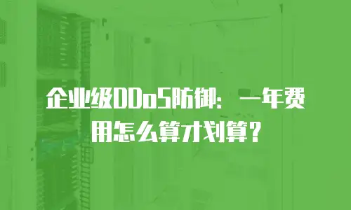 企业级DDoS防御：一年费用怎么算才划算？