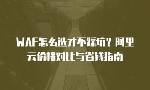 WAF怎么选才不踩坑？阿里云价格对比与省钱指南