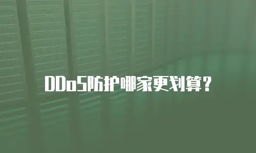 DDoS防护哪家更划算？