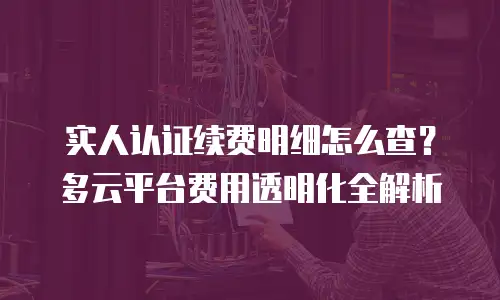 实人认证续费明细怎么查？多云平台费用透明化全解析