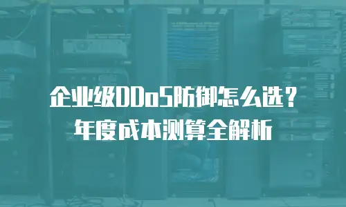 企业级DDoS防御怎么选？年度成本测算全解析