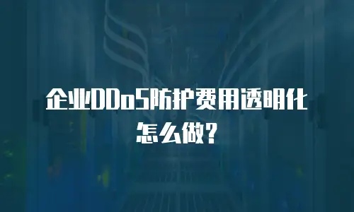 企业DDoS防护费用透明化怎么做？