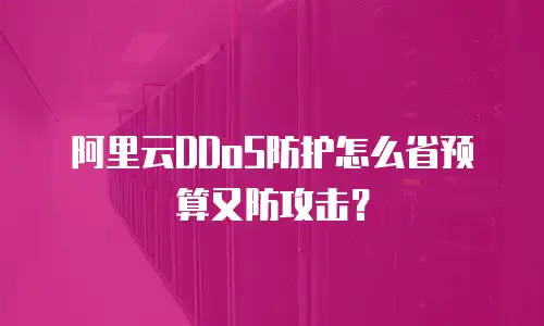 阿里云DDoS防护怎么省预算又防攻击？