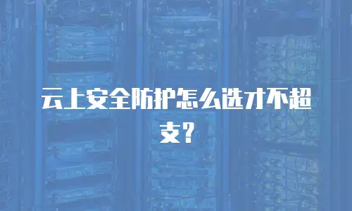 云上安全防护怎么选才不超支？