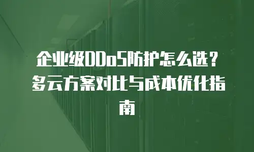 企业级DDoS防护怎么选？多云方案对比与成本优化指南