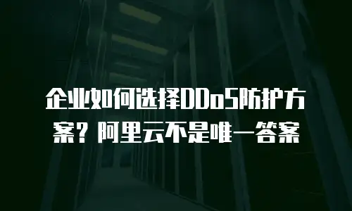 企业如何选择DDoS防护方案？阿里云不是唯一答案