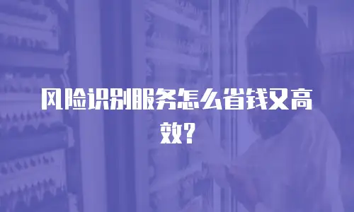 风险识别服务怎么省钱又高效？