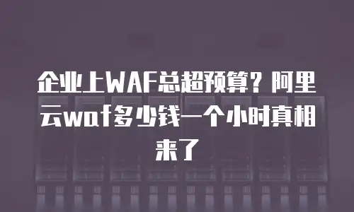 企业上WAF总超预算？阿里云waf多少钱一个小时真相来了