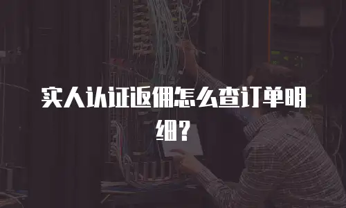 实人认证返佣怎么查订单明细？