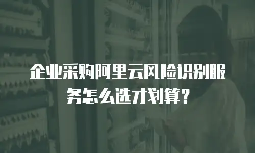 企业采购阿里云风险识别服务怎么选才划算？