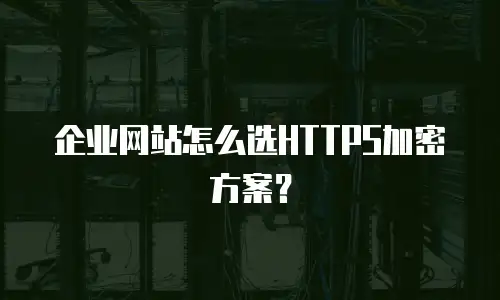企业网站怎么选HTTPS加密方案？
