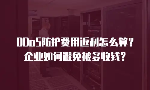 DDoS防护费用返利怎么算？企业如何避免被多收钱？