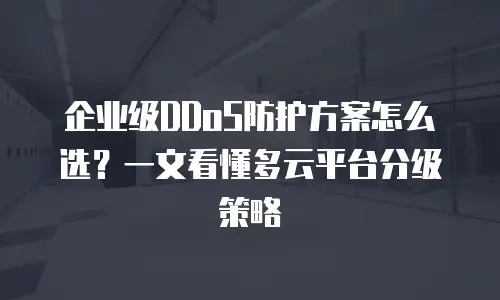 企业级DDoS防护方案怎么选？一文看懂多云平台分级策略