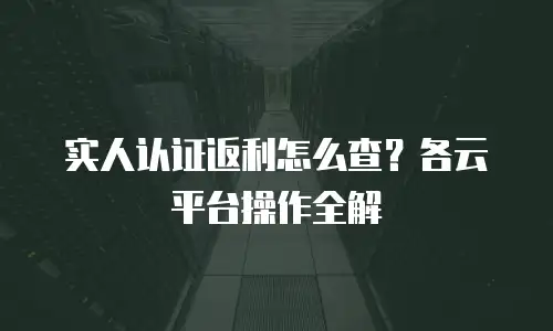 实人认证返利怎么查？各云平台操作全解