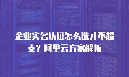企业实名认证怎么选才不超支？阿里云方案解析