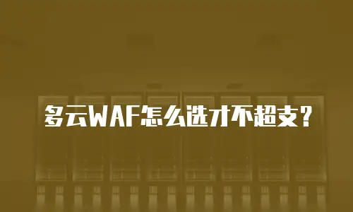 多云WAF怎么选才不超支？