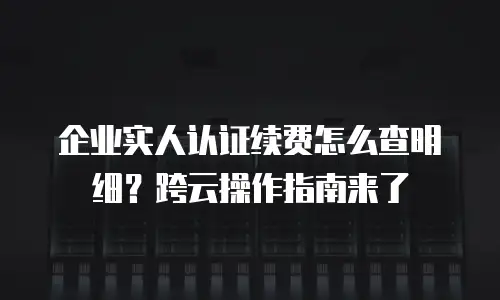 企业实人认证续费怎么查明细？跨云操作指南来了