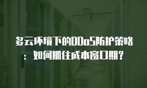 多云环境下的DDoS防护策略：如何抓住成本窗口期？