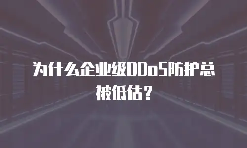 为什么企业级DDoS防护总被低估？