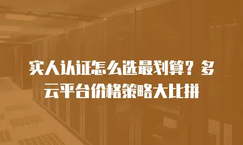实人认证怎么选最划算？多云平台价格策略大比拼
