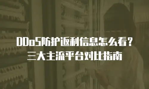 DDoS防护返利信息怎么看？三大主流平台对比指南