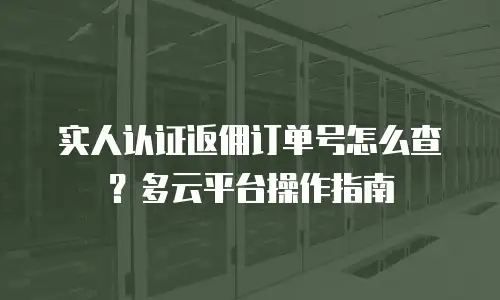 实人认证返佣订单号怎么查？多云平台操作指南