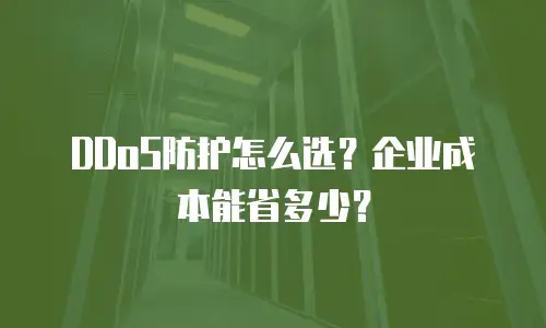 DDoS防护怎么选？企业成本能省多少？