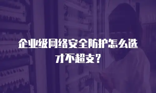 企业级网络安全防护怎么选才不超支？