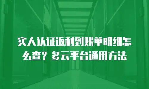 实人认证返利到账单明细怎么查？多云平台通用方法