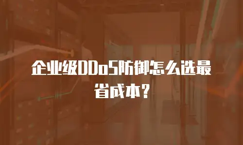 企业级DDoS防御怎么选最省成本？