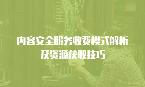 内容安全服务收费模式解析及资源获取技巧