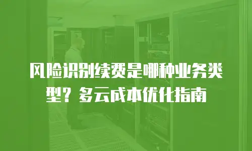 风险识别续费是哪种业务类型？多云成本优化指南