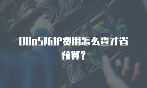 DDoS防护费用怎么查才省预算？