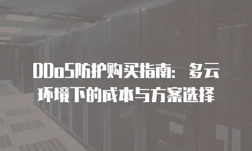 DDoS防护购买指南：多云环境下的成本与方案选择