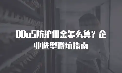 DDoS防护佣金怎么算？企业选型避坑指南