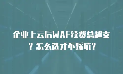 企业上云后WAF续费总超支？怎么选才不踩坑？