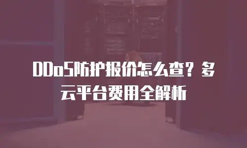 DDoS防护报价怎么查？多云平台费用全解析