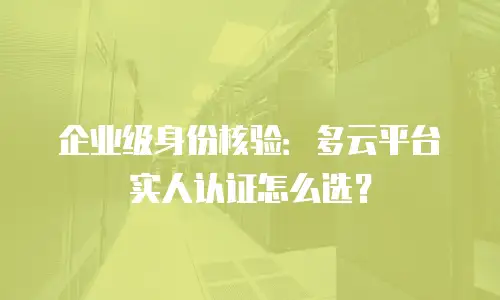 企业级身份核验：多云平台实人认证怎么选？