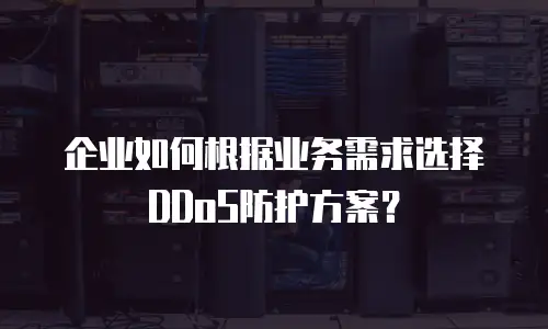 企业如何根据业务需求选择DDoS防护方案？