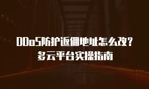 DDoS防护返佣地址怎么改？多云平台实操指南