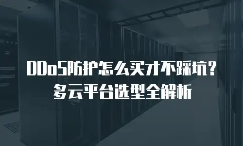 DDoS防护怎么买才不踩坑？多云平台选型全解析