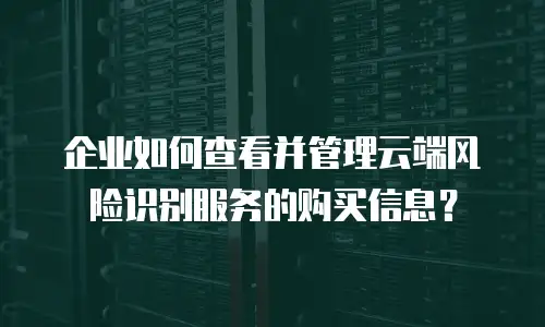 企业如何查看并管理云端风险识别服务的购买信息？