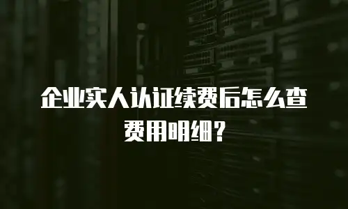 企业实人认证续费后怎么查费用明细？